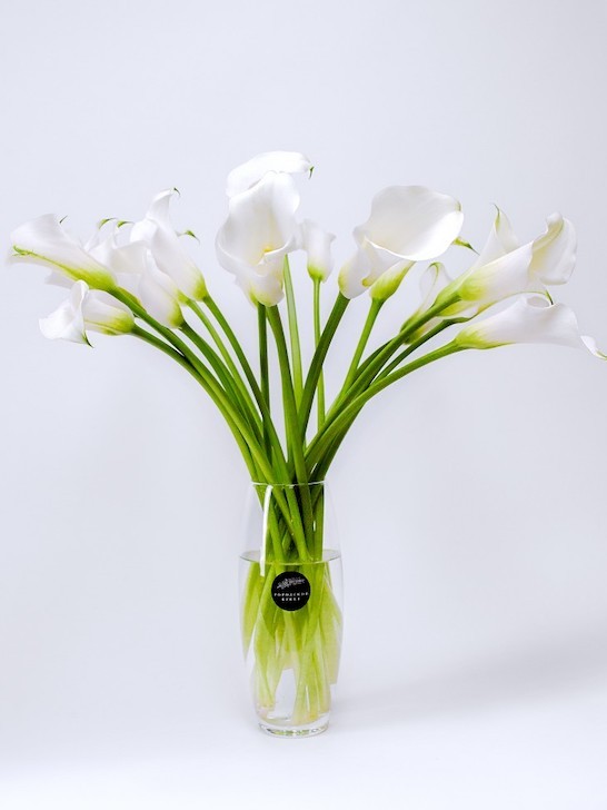 Белые каллы, от 4950 руб. &mdash; Городской букет