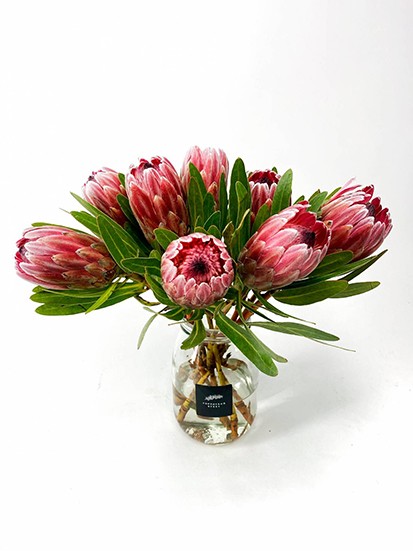 Монобукет из Протей / Pink Ice, от 2880 руб. &mdash; Городской букет