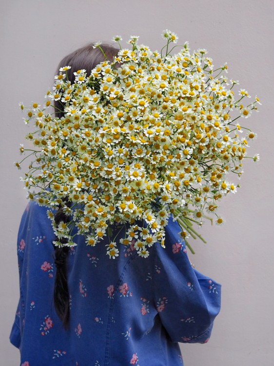 Букет «Рейн» из нежных ромашек &mdash; Городской букет