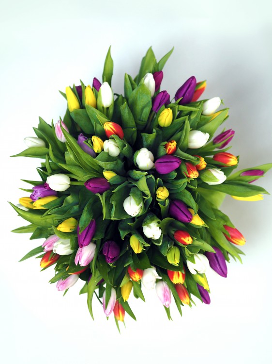 Яркое ассорти тюльпанов «Вита» &mdash; Городской букет