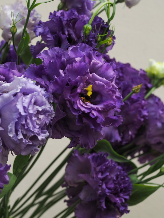 Монобукет с фиолетовой эустомой &mdash; Городской букет