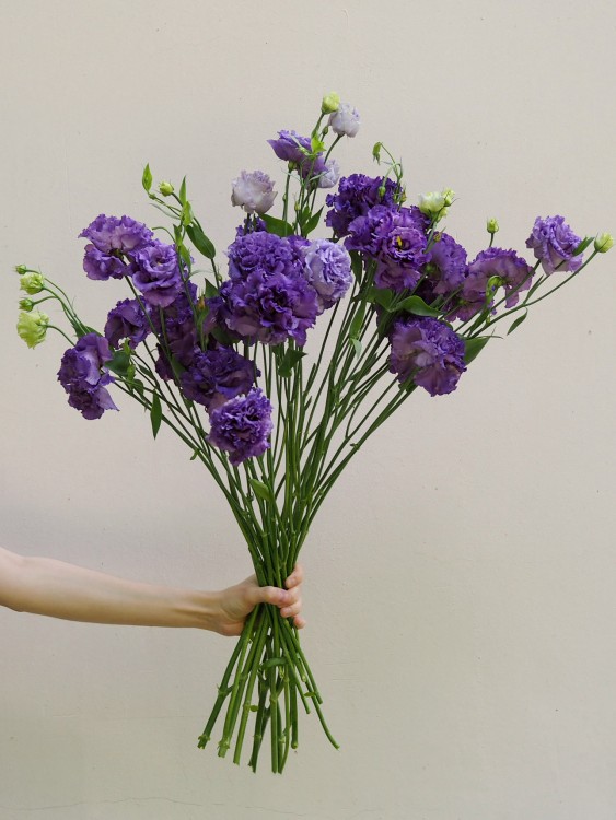 Монобукет с фиолетовой эустомой &mdash; Городской букет